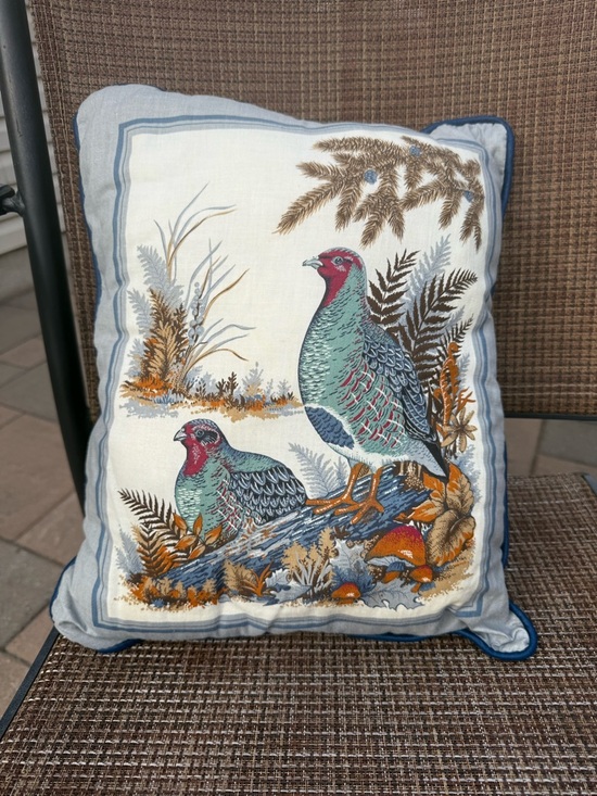 Other - Vintage Gray Partridge  Print Decorative Pillow
